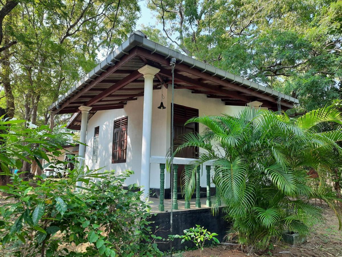 Katagamuwa Rest Hotel Kataragama Ngoại thất bức ảnh